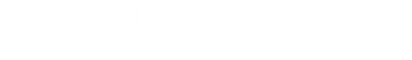 Unisen Consulting Solutions